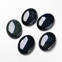 Moss Agate Natural Indian Agate, Flat Back, Oval, 14x10x5mm