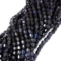 Iolite Natural Iolite Beads Strands, Faceted, Bicone, Double Terminated Point Prism Beads, 5~6x6mm, Hole: 0.7mm, about 67pcs/strand, 15.35 inch(39cm)