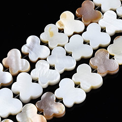 Seashell Color Natural Freshwater Shell Beads Strands, Butterfly, Seashell Color, 9x11x2.5~3mm, Hole: 1mm, about 49~51pcs/strand, 14.72~15.08 inch(37.4~38.3cm)