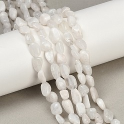 Rainbow Moonstone Бусины из натурального радужного лунного камня, самородки, упавший камень, 5~8.5x5.5~7x3.5~4 мм, отверстие : 0.7 мм, около 50~60 шт / нитка, 15 дюйм (38 см)