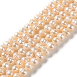 Bisque Natural Cultured Freshwater Pearl Beads Strands, Potato, Grade A, Bisque, 6~7x6~6.5mm, Hole: 0.6mm, about 54~57pcs/strand, 13.39~13.50 inch(34~34.3cm)