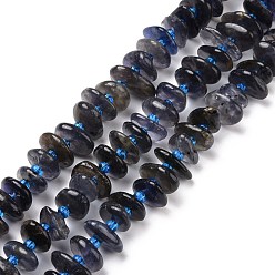 Iolite Natural Iolite Beads Strands, Chip, 5~18x3~9x2~5mm, Hole: 1mm, about 67~69pcs/strand, 15.55''(39.5~40cm)