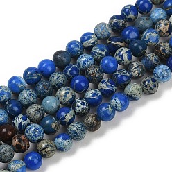 Средно-синий Нити бусин из окрашенного натурального регалита/императорской яшмы/морского осадка яшмы, круглые, светло-синий, 4 мм, отверстие : 1.2 мм, около 45 шт / нитка, 7.68'' (19.5 см)