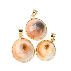 Золотой Подвески из латуни из натуральных ракушек, овальные амулеты, стойки покрытие, золотые, 23~28x16~23x7~11 мм, отверстие : 4x6 мм