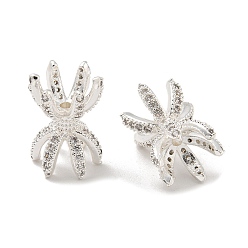 Серебро Шапочки и конусы для бусин, латунные, Двухсторонняя, с четким кубического циркония, долговечный, без свинца и без кадмия, серебряные, 16x11 мм, отверстие : 1.5 мм