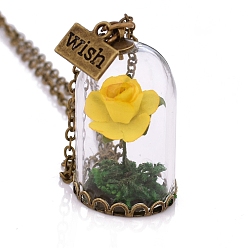 Yellow Glass Dried Flower Wishing Bottle Pendant Necklace, with Antique Bronze Alloy Cable Chains, Yellow, 23.62 inch(60cm)