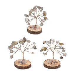 Labradorite Natural Labradorite Chips Tree of Life Decorations, with Wooden Base & Copper Wire, Feng Shui Energy Stone Gift for Home Desktop Decoration, 31~32x29~33x33~50mm