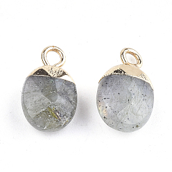 Labradorite Electroplate Natural Labradorite Charms, with Iron Findings, Faceted, Oval, Golden, 14~15x8x5~5.5mm, Hole: 1.8mm