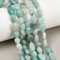 Амазонит Природные амазонит бисер пряди самородки, 8~10x6~8x3~6 мм, отверстие : 1 мм, около 45 шт / нитка, 14.96'' (38 см)