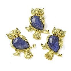Содалитовое Природные подвески содалитом, латунные совьи амулеты, золотые, стойки покрытие, без кадмия и без свинца, 36.5x26.5x7.5 мм, отверстие : 6.5x4.5 мм