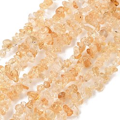 Citrine Natural Citrine Beads Strands, Chip, Heated, 4~8mm, Hole: 0.5mm, 32.28''(82cm)~32.52''(82.6cm)