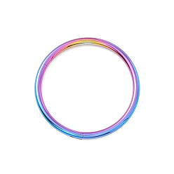 Rainbow Color 304 fermoirs twister en acier inoxydable, anneau, couleur arc en ciel, 14x1mm, diamètre intérieur: 12 mm
