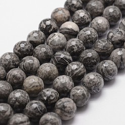 Map Stone Natural Map Stone/Picasso Stone/Picasso Jasper Beads Strands, Faceted, Round, Gray, 10mm, Hole: 1mm, about 37pcs/strand, 14.9 inch~15.1 inch