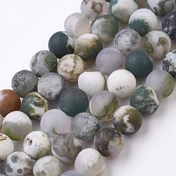 Tree Agate Natural Tree Agate Bead Strands, Frosted, Round, 8~9mm, Hole: 1mm, about 47pcs/strand, 14.9 inch(38cm)