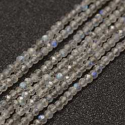 Labradorite Natural Labradorite Beads Strands, Faceted, Round, Grade AA, 2mm, Hole: 0.5mm, about 155~160pcs/strand, 15.3 inch(38~39cm)
