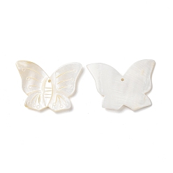 Seashell Color Natural Freshwater Shell Pendants, Butterfly Charm, Seashell Color, 35~38x46~49x3.5~5mm, Hole: 2mm