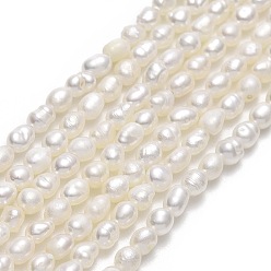 Lin Brins de perles de culture d'eau douce naturelles, riz, linge, 3~3.5x2~2.5mm, Trou: 0.5mm, Environ 117~119 pcs/chapelet, 14.76''~14.96" (37.5~38 cm)