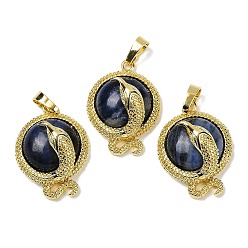 Содалитовое Плоские круглые подвески из натурального содалита из латуни, стойки покрытие, без кадмия и без свинца, золотые, 29.5x21.5x9.5~11 мм, отверстие : 7.5x4.5 мм