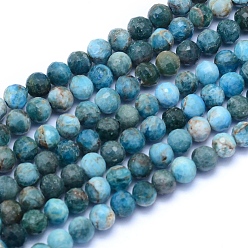 Apatite Natural Apatite Beads Strands, Faceted, Round, 5.5~6mm, Hole: 0.7mm, about 65pcs/strand, 15.35 inch(39cm)