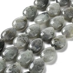 Labradorite Natural Labradorite Beads Strands, Teardrop, 17.5~18x13x6mm, Hole: 1.2mm, about 22pcs/strand, 15.24 inch(38.7cm)