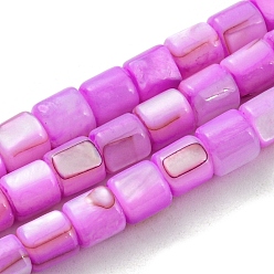 Magenta Natural Freshwater Shell Beads Strands, Dyed, Column, Magenta, 4~5.5x5mm, Hole: 0.6mm, about 74~75pcs/strand, 14.76~14.96 inch(37.5~38cm)