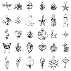 Antique Silver 30Pcs 30 Style Tibetan Style Alloy Charms, Mixed Shapes, Antique Silver, 10~21x7~15x1~4mm, Hole: 1~2mm, 1pc/style