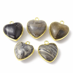 Petrified Wood Natural Petrified Wood Pendants, with Golden Plated Brass Findings, Heart Charms, 18~19x15~17x7~10mm, Hole: 2mm