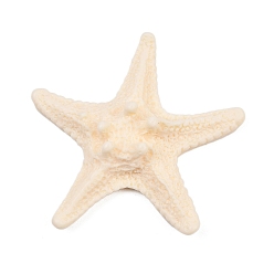 (404) Непрозрачное AB Кислое яблоко Непрозрачная смола декодирует кабошоны, морская звезда, цветочный белый, 48x50.5x12 мм