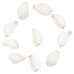 White Natural Cowrie Shell Beads, Undrilled/No Hole Beads, White, 24~32x14~20x13~16mm, 10pcs/box