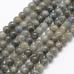 Labradorite Chapelets de perles labradorite naturelle , Grade A +, ronde, 6mm, Trou: 1mm, Environ 66 pcs/chapelet, 15.3 pouce (39 cm)