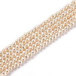 Bisque Natural Cultured Freshwater Pearl Beads Strands, Potato, Bisque, 4.5~5.5x4.5~5mm, Hole: 0.6mm, about 85pcs/strand, 14.17 inch(36cm)