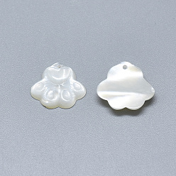 White Shell Natural White Shell Mother of Pearl Shell Charms, Carved Dog Paw Prints, 12.5x13.5x2.5mm, Hole: 0.6mm