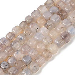 Бежевый Природных вены драконов агат бисер нитей, окрашенная и подогревом, кубические, бежевые, 7~8x7~8x7~8 мм, отверстие : 0.9 мм, около 56 шт / нитка, 14.57'' (37 см)