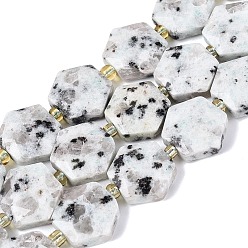 Jaspe Sésame Naturelles sésame jaspe perles brins, hexagone facettes, avec des perles de rocaille, 11.5~12.5x13~14x4~5.5mm, Trou: 1~1.2mm, Environ 26~28 pcs/chapelet, 14.37~15.75 pouce (36.5~40 cm)