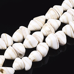 Seashell Spiral Shell Beads Strands, Cone, 9~11x11~14x9~12mm, Hole: 1mm, about 41pcs/strand, 14.3 inch