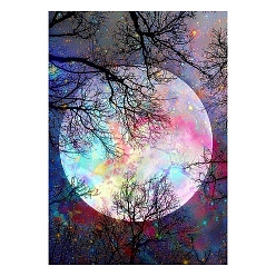 Colorful Moon Scenery DIY Diamond Painting Kit, Including Resin Rhinestones Bag, Diamond Sticky Pen, Tray Plate and Glue Clay, Colorful, 300x200mm