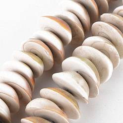 Bois Solide Chapelets de perles de coquillage naturel, demi-tour, burlywood, 19~25x7~11mm, Trou: 1mm, Environ 20~24 pcs/chapelet, 6.89 pouces ~ 7.09 pouces (17.5~18 cm)