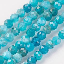 Apatite Natural Apatite Bead Strand, Round, Faceted, 2mm, Hole: 0.5mm, about 164pcs/strand, 15.8 inch(40.2cm)