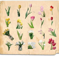 Flower 20Pcs Retro Story PET Waterproof Stickers, Flower Plant Floral Decals for DIY Scrapbooking, Flower, 17~82mm