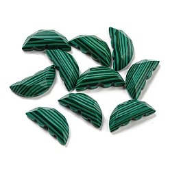 Malachite Natural Malachite Butterfly Wing Cabochons, Faceted, 15x6.5~7x4~4.5mm
