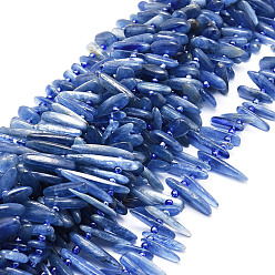 Kyanite Natural Kyanite Beads Strands, Nuggets, 9.5~30x4.5~7.5x1.5~5mm, Hole: 0.8mm, about 80pcs/strand, 15.75 inch(40cm)