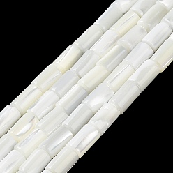 WhiteSmoke Natural Trochus Shell Beads Strands, Column, WhiteSmoke, 5.5~6x10mm, Hole: 0.8mm, about 38pcs/strand, 15.16~35.43''(38.5~90cm)