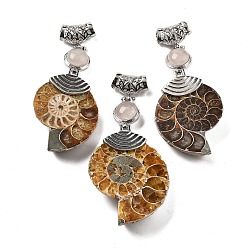 Розовый Кварц Подвески из натурального розового кварца в виде окаменелой улитки, со сплавочной фурнитурой, Платиновый металл, 58~78x29~35x8~9 мм, отверстие : 4x6 мм