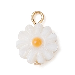 WhiteSmoke Natural Freshwater Shell Flower Charms with Golden Plated 304 Stainless Steel Loops, WhiteSmoke, 13.5x10x2.5mm, Hole: 2mm