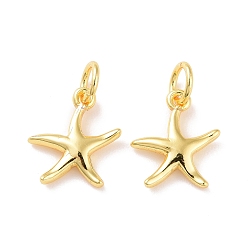Real 18K Gold Plated Brass Charms, with Jump Ring, Cadmium Free & Lead Free, Starfish, Real 18K Gold Plated, 12x10.5x2mm, Hole: 3mm