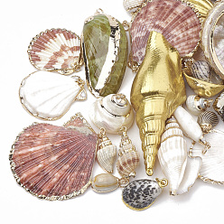 Mixed Color Sea Shell Pendants, Natural Color, Mixed Styles, Mixed Color, 15~86x7~51x5~30mm, Hole: 1~5mm
