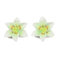 Бледно-Зеленый Непрозрачная смола декодирует кабошоны, плюмерия, бледно-зеленый, 30x29x8 мм