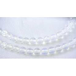 Blanc Perles opalite brins, mer opalite, ronde, 4mm, trou: environ 0.8 mm, 15~16 pouce