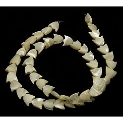 Blanc Shell normal de perles blanches de brins, perles en nacre, fleur, environ 9 mm de large, Longueur 10mm, épaisseur de 3mm, Trou: 1mm, 45 pcs/ brin, 16 pouce