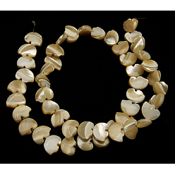 Tan Natural Sea Shell Beads Strands, Bear, Tan, about 8mm wide, 12mm long, 4mm thick, hole: 1mm, 47 pcs/strand, 16 inch
